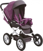 Photos - Pushchair Geoby C800 2 in 1 