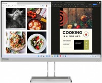 Monitor Lenovo L24i-40 23.8 "  silver