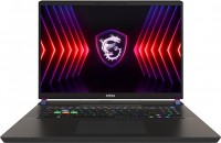 Photos - Laptop MSI Vector 17 HX A14VGG (A14VGG-218UK)