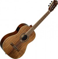 Photos - Acoustic Guitar Ortega RE30TH-ACA 