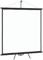 Photos - Projector Screen VidaXL Tripod 165x170 