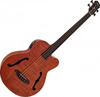 Acoustic Guitar ARIA FEB-F2M/FL 