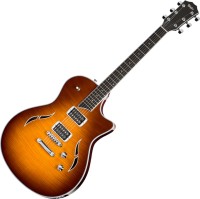 Photos - Guitar Taylor T3 
