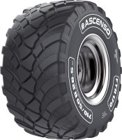 Photos - Truck Tyre Ascenso FTR 170 600/50 R22.5 159D