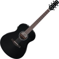 Photos - Acoustic Guitar Ibanez AAM100E 