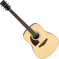 Photos - Acoustic Guitar Ibanez PF50L 