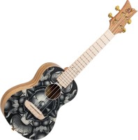 Photos - Acoustic Guitar Ortega RUAR-BI 