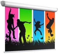 Photos - Projector Screen Adeo Linear 240x135 