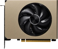 Photos - Graphics Card MSI GeForce RTX 5060 8G INSPIRE ITX 