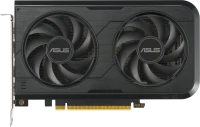 Photos - Graphics Card Asus GeForce RTX 5050 Dual 8GB