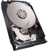Photos - Hard Drive Seagate NAS HDD ST2000VN000 2 TB