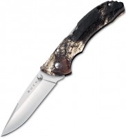 Photos - Knife / Multitool BUCK Bantam BBW 