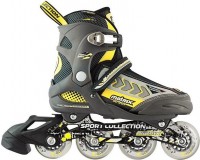 Photos - Roller Skates SK Matrix 