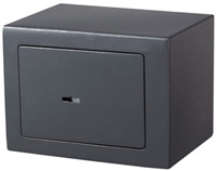 Photos - Safe Vector SFT-17K 