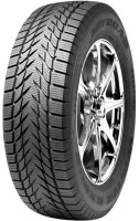 Photos - Tyre Joyroad Winter RX808 205/55 R16 91T 