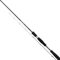 Photos - Rod Shimano Diaflash AX 225L