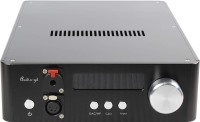 Photos - DAC Audio-gd NFB-28 