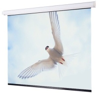 Photos - Projector Screen Draper Targa 427x427 