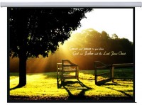 Photos - Projector Screen Lumi Standard Electric 300x220