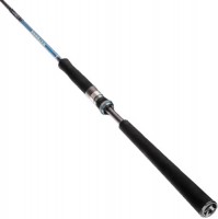 Photos - Rod Favorite Shooter SHT-962MH 
