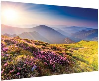 Photos - Projector Screen Projecta FullVision 400x250 