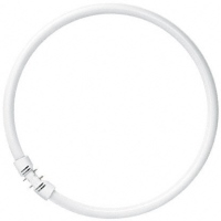 Light Bulb Osram LUMILUX T5 FC 22W 4000K 2GX13 