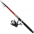 Rods