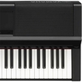 Pianos & Keyboards