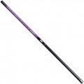 Brain Apex Pole New 400 