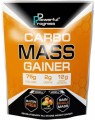 Powerful Progress Carbo Mass Gainer 2 kg