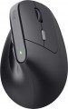 Trust Bayo II Ergonomic Wireless Mouse 