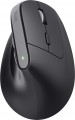 Trust Bayo+ Multidevice Ergonomic Wireless Mouse 