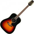 Takamine GD51 