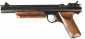 Crosman HB 17