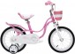 Royal Baby Little Swan Steel 16