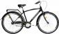 Ardis Getman 28