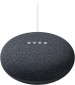 Google Nest Mini 2