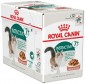 Royal Canin Instinctive +7 Gravy Pouch