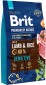 Brit Premium Sensitive Lamb