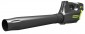 Greenworks GD80BL 2400407