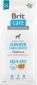 Brit Care Grain-Free Junior Large Salmon/Potato