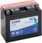 Exide AGM